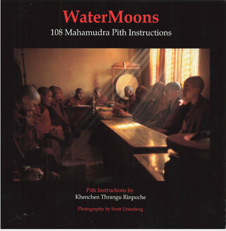 (image for) WaterMoons: 108 Mahamudra Pith Instructions (Out of Print PDF)